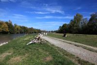 Isar
