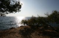 IMG_4549.JPG