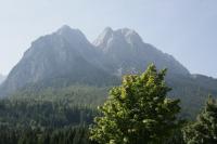 IMG_4984.JPG